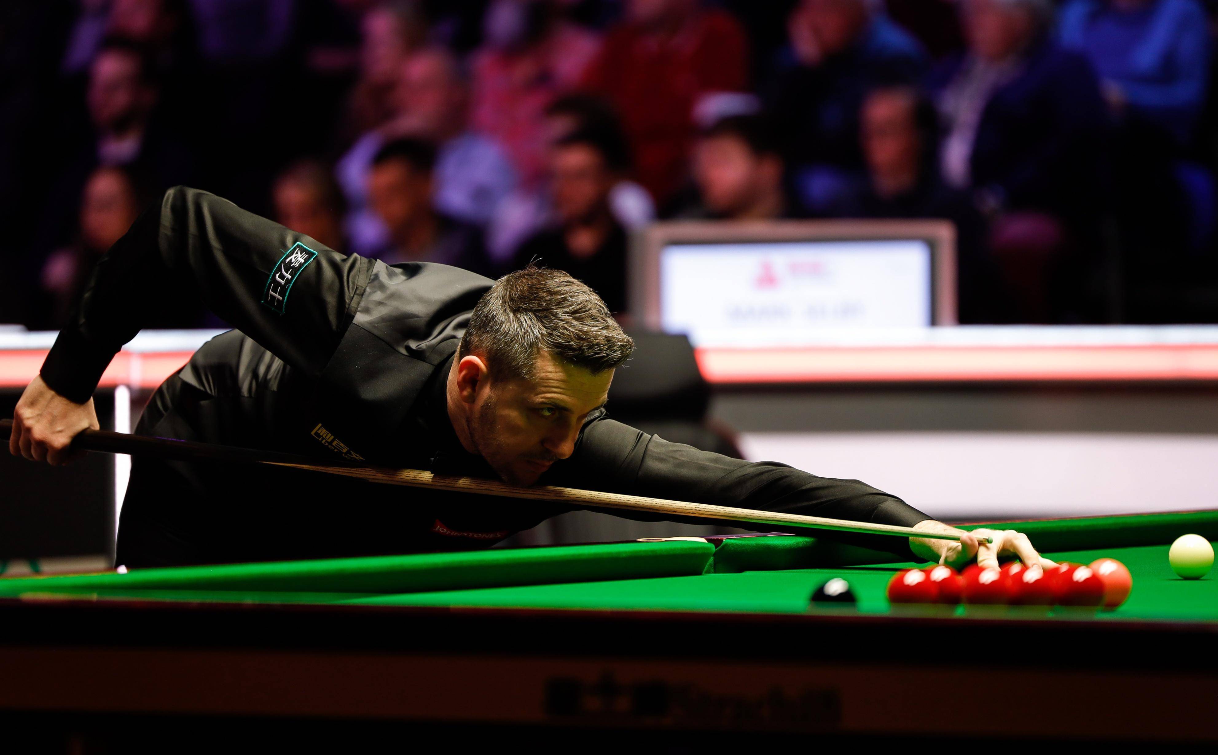 未来可能会 未来可能会