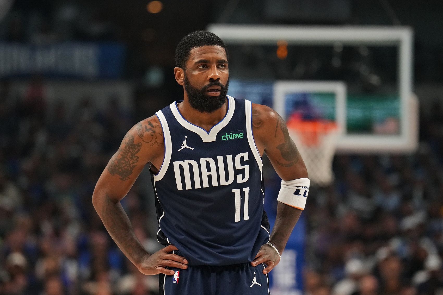 马的故事 马的故事