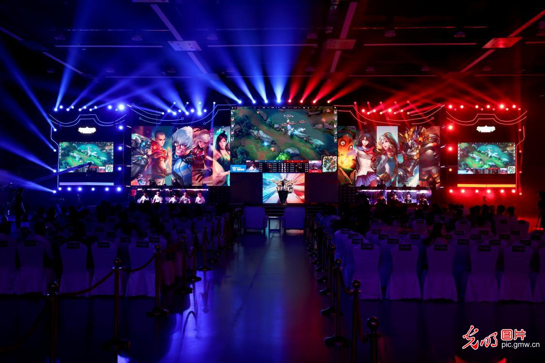 我的报名 我的报名